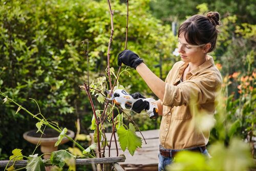 STIHL ASA 20 Battery Secateurs Kit