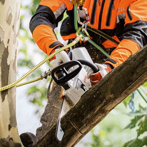 STIHL MSA 161 T Arborist Cordless Chainsaw